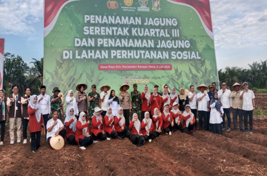 Dua Agenda Strategis: Penanaman Perdana dan Serentak Jagung Pipil di Desa Kayu Aro
