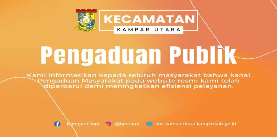 Pengaduan Publik